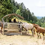 Apartmán Giessler Nordrach