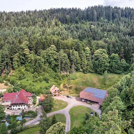 Lejlighed Giessler Nordrach