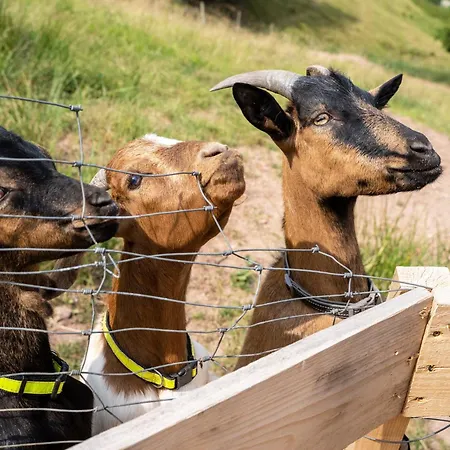 Lejlighed Giessler *