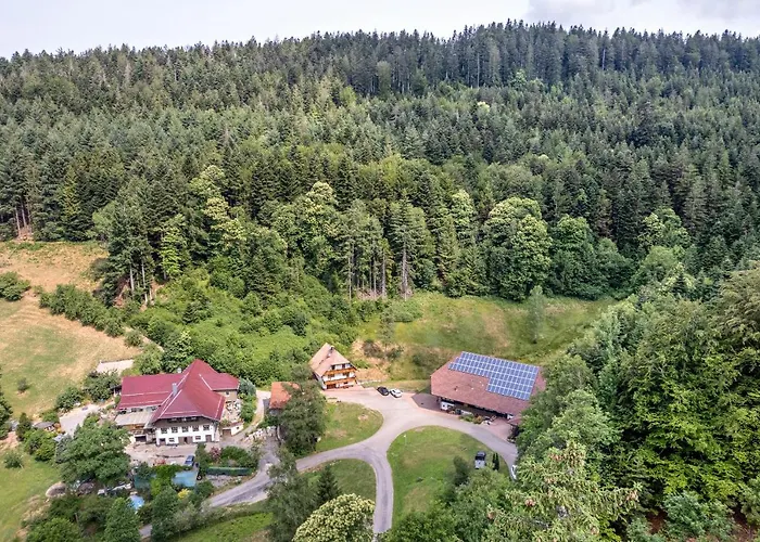 Διαμέρισμα Giessler Nordrach