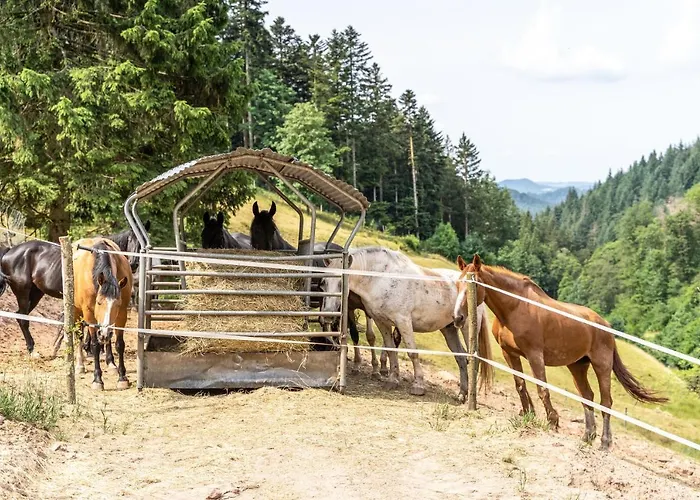 Διαμέρισμα Giessler Nordrach